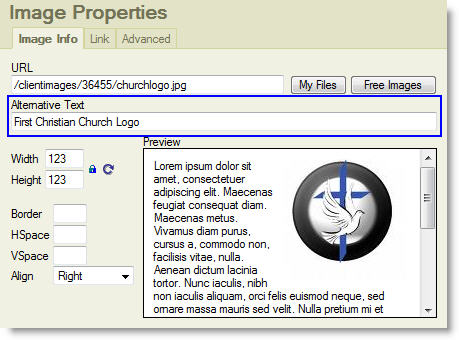 Alternative text field illustration