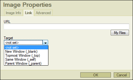 Image Link Properties